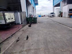 Jurong Food Hub (D22), Factory #506773671